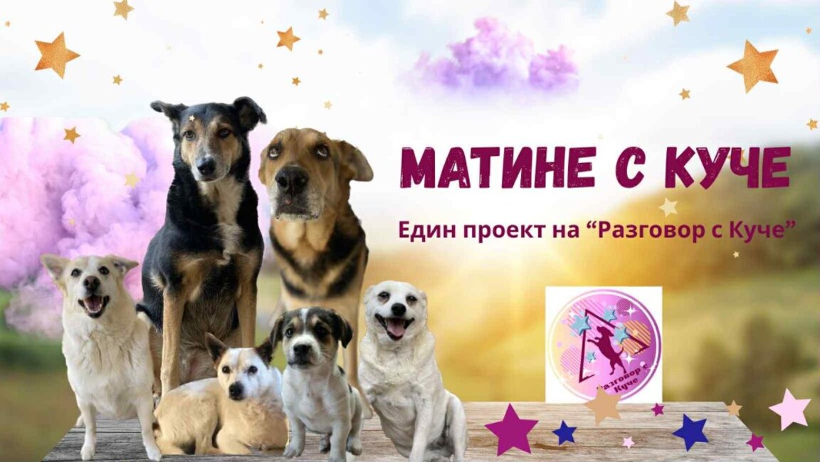 Четири лапи + приятели+ разбиране = Матине