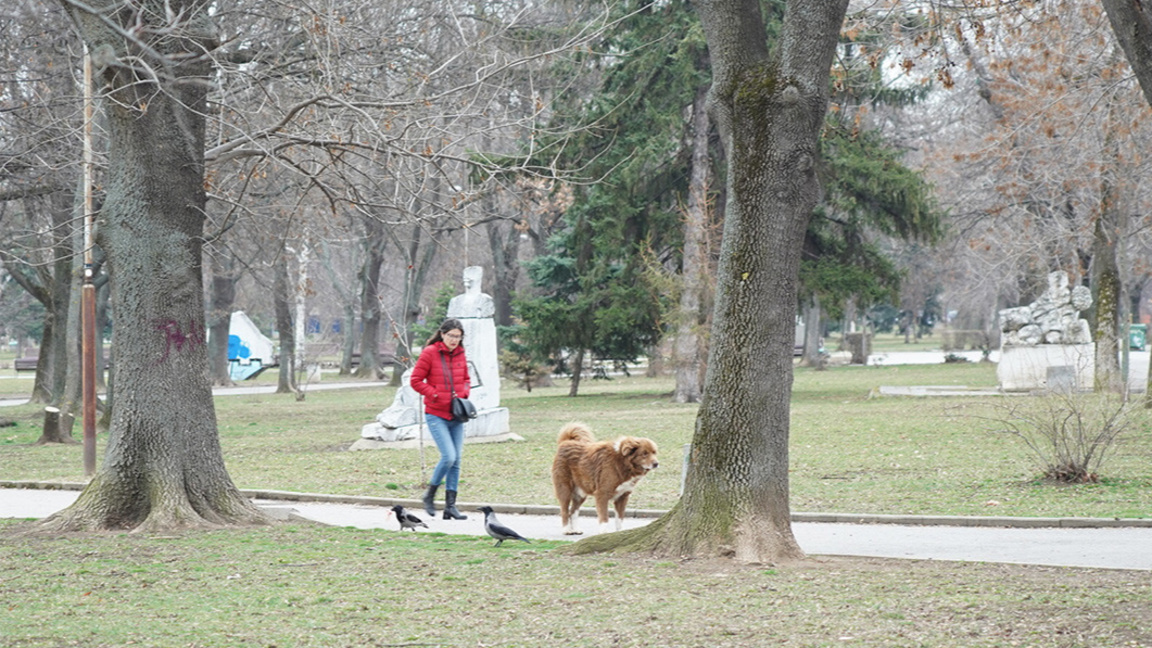 Хладно време, в София - от 2 до 7°