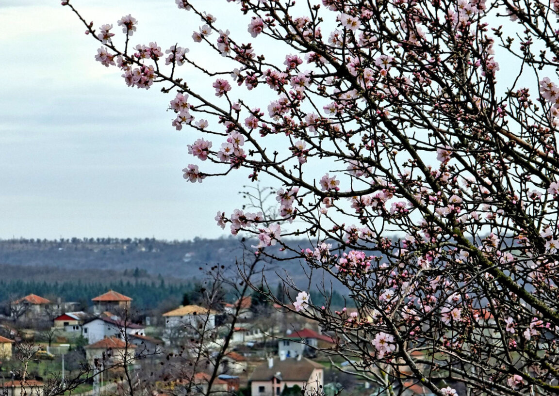 Wetteraussichten für Dienstag, den 15. April