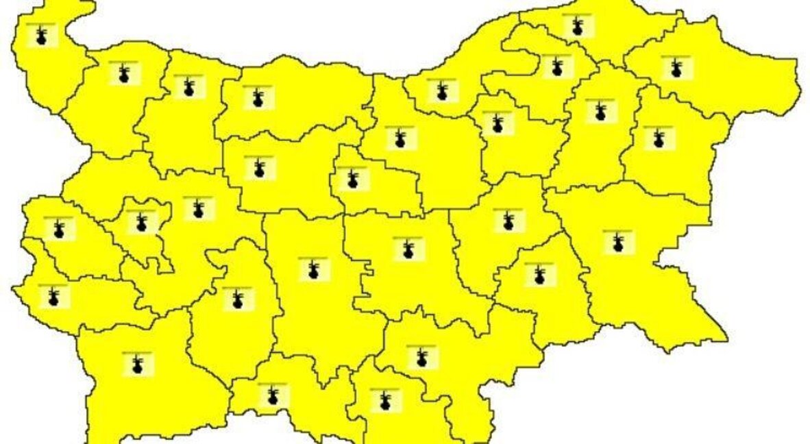 Жълт код за горещо време