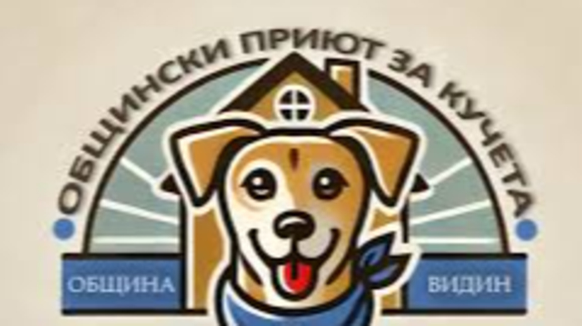 общински приют за кучета Видин