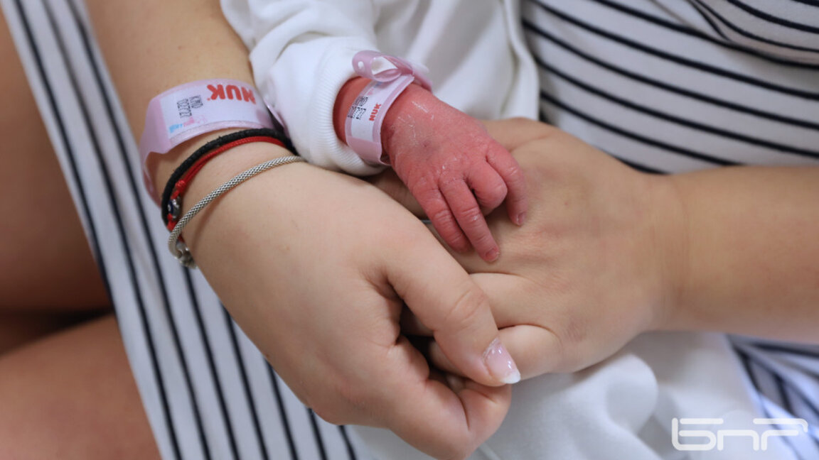 Все повече жени у нас се подлагат на забременяване с донорска яйцеклетка