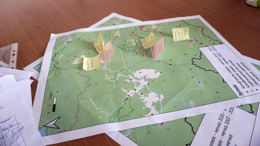 Borino launches first plan for coexistence with bears in Bulgaria