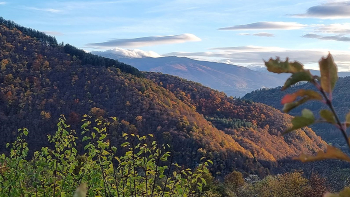 прогноза за времето