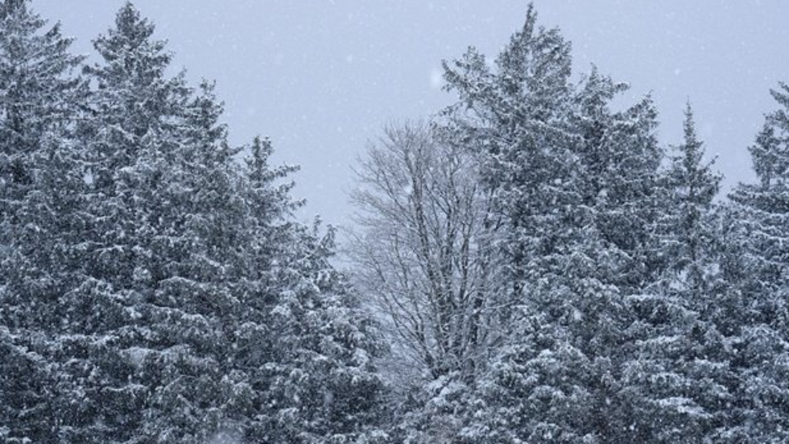 Облачна сряда