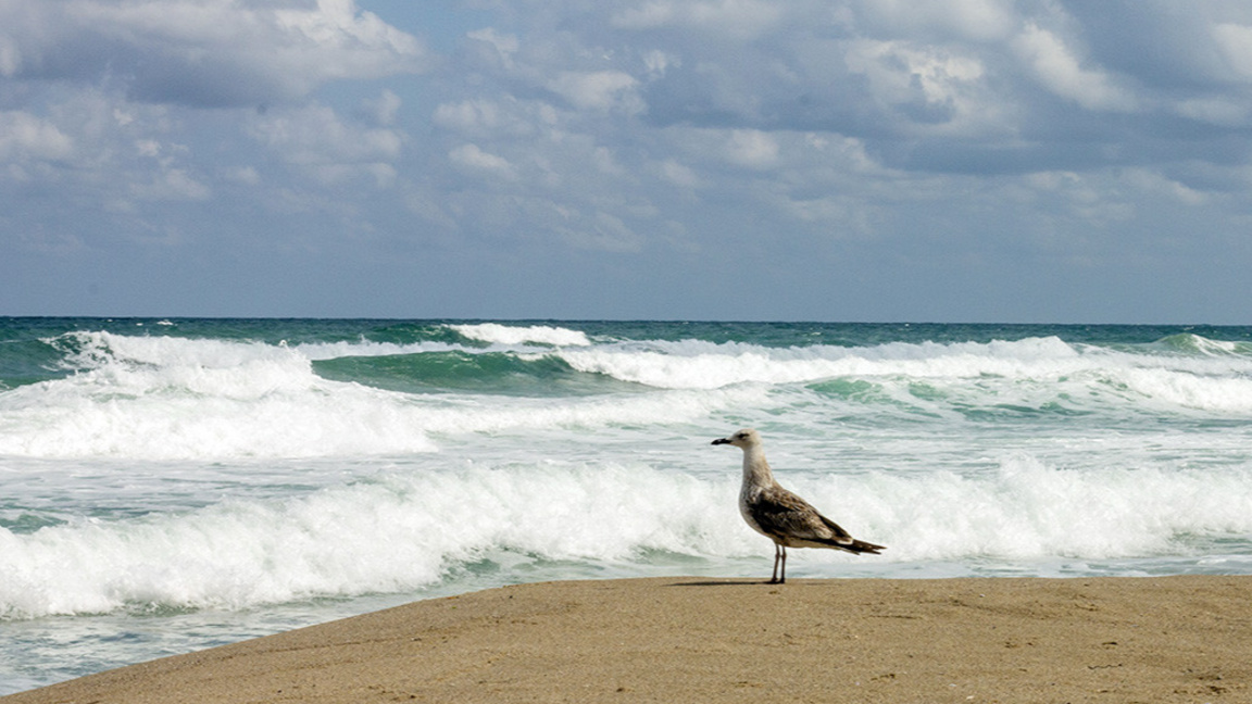 Слънчев и топъл ще е 13 март