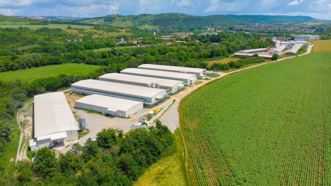 Птицефермата в покрайнините на град Дебелец