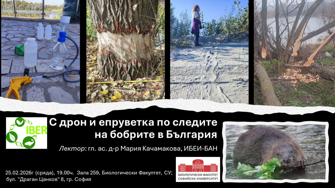 С дрон и епруветка по следите на бобрите...