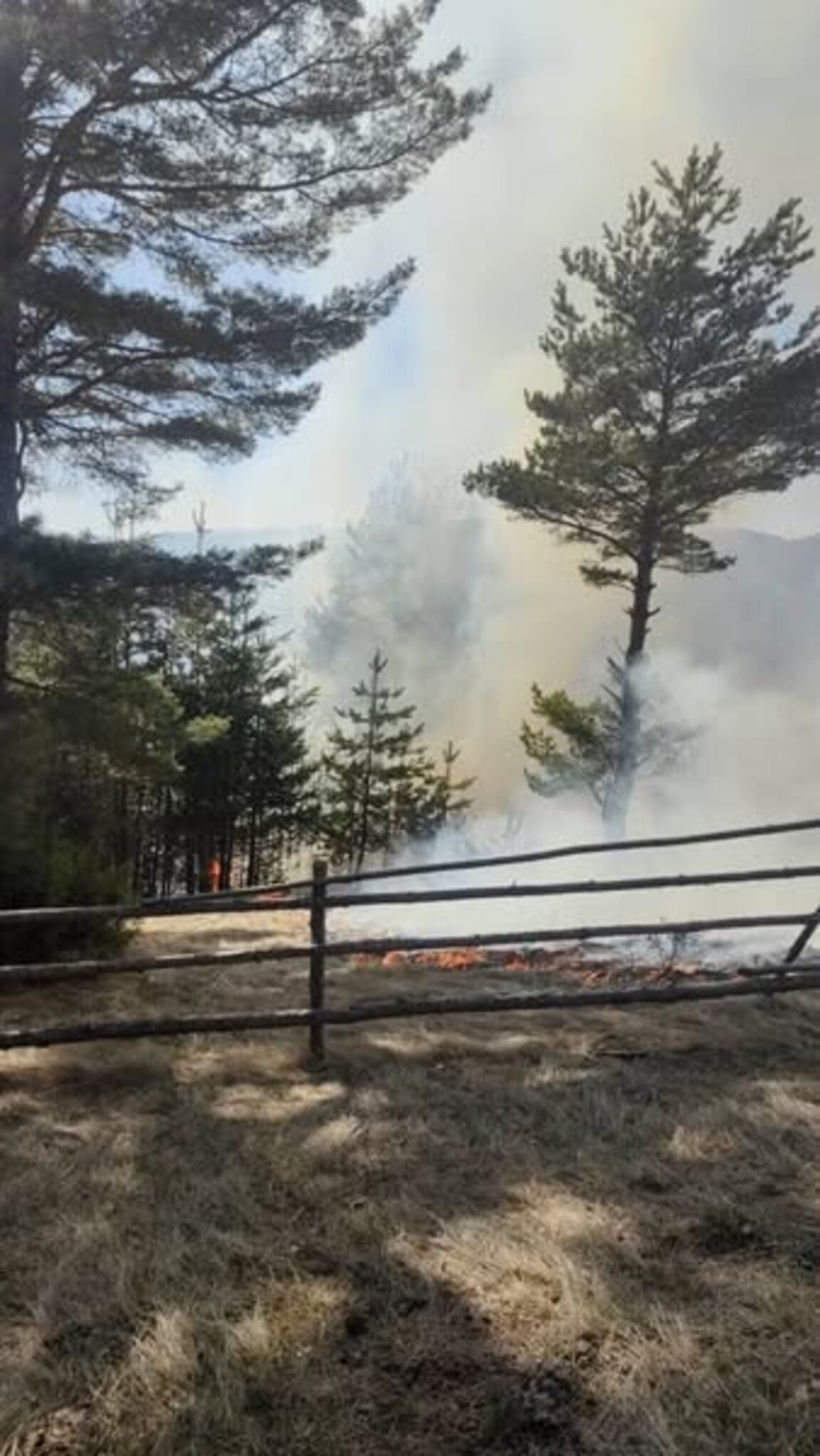 Локализирани са пожарите в района на село Плетена