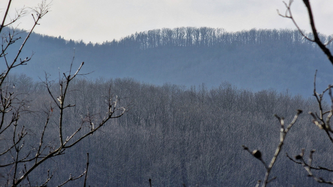 Wetteraussichten für Donnerstag, den 19. Februar
