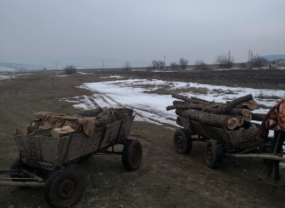 Хванаха крадци на дърва
