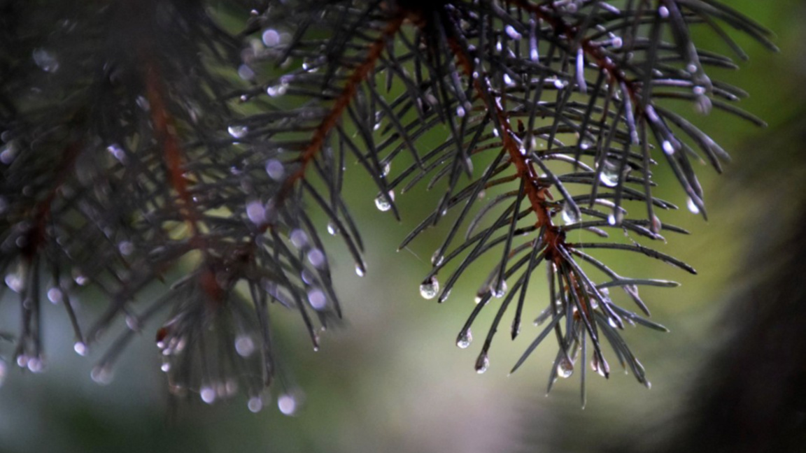 Предупредителен код за дъжд и вятър в 19 области