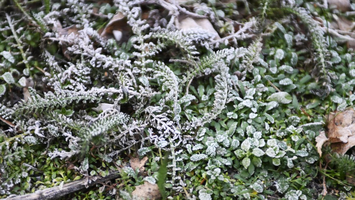 Temperatures on the rise, precipitation will stop on Thursday