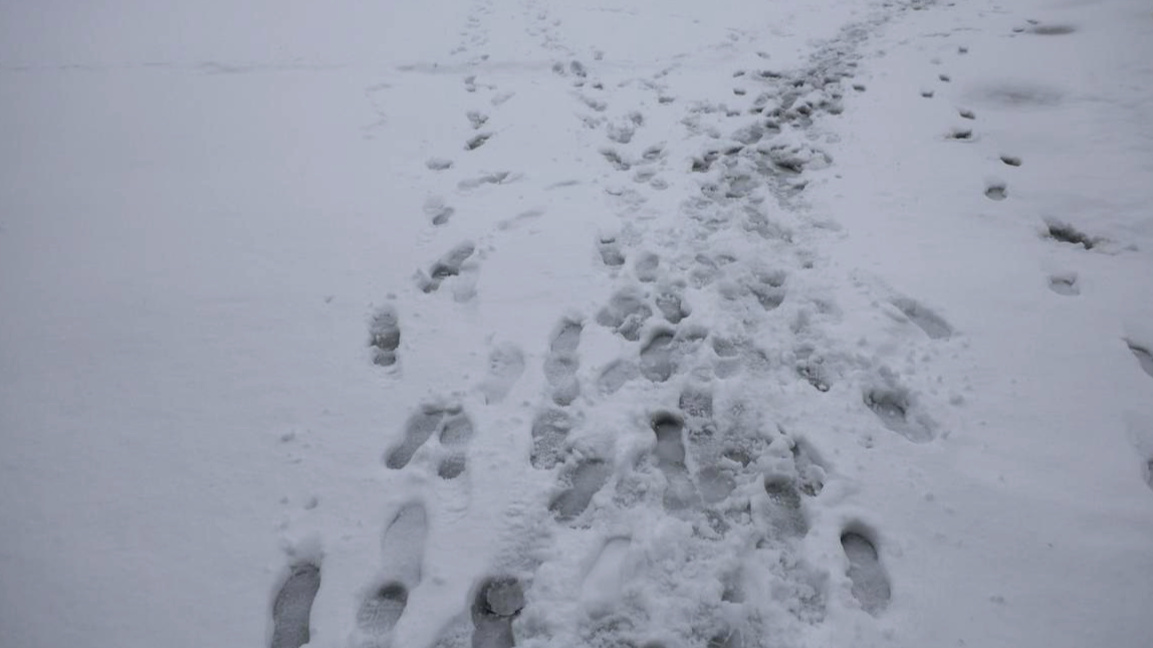 Очаква ни динамичен януари - с временно затопляне и истинска зима.