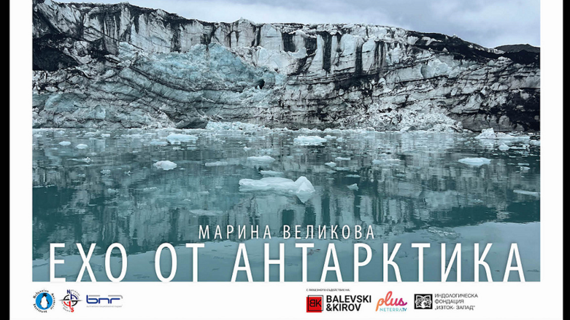 Антарктика оживява в новата изложба на Марина Великова