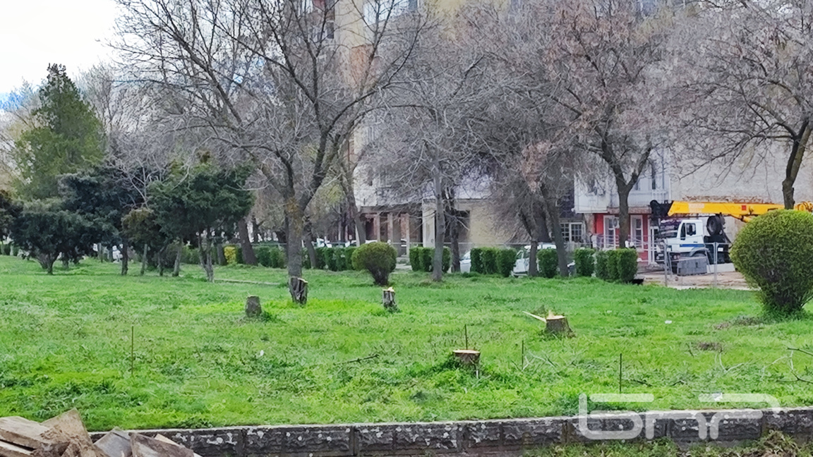 Отсечените дървета в парка във Видин