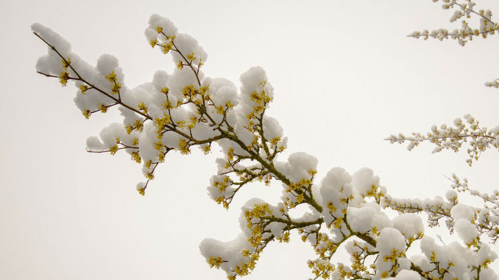 Пострадали от бедствия земеделци с последна възможност за подпомагане