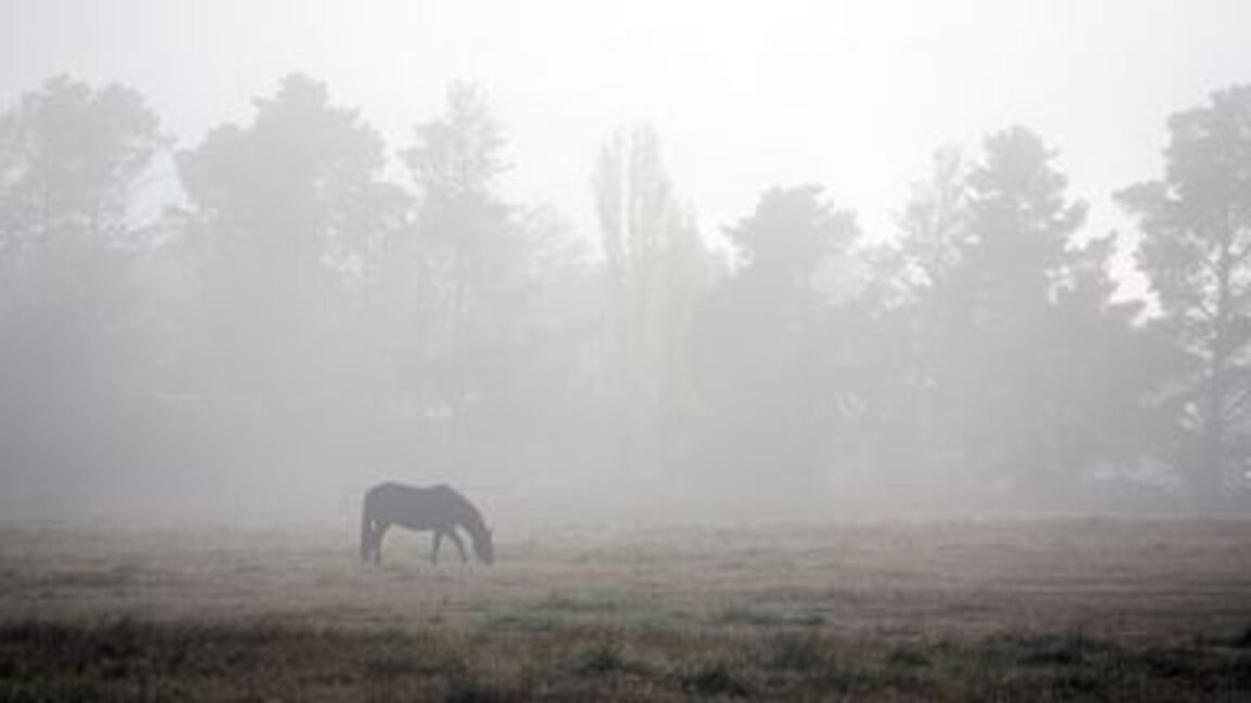 Слънчево днес, но се задава застудяване