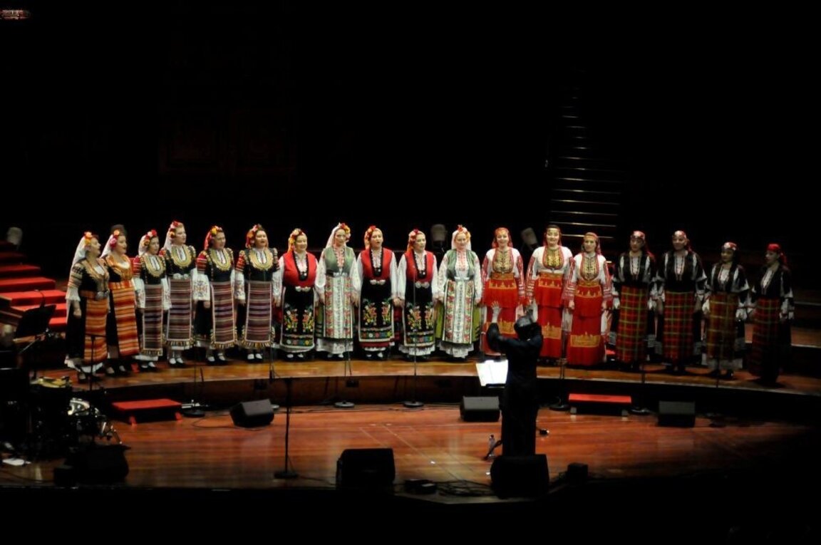 A Bird is Singing: The beginning of the Mystery