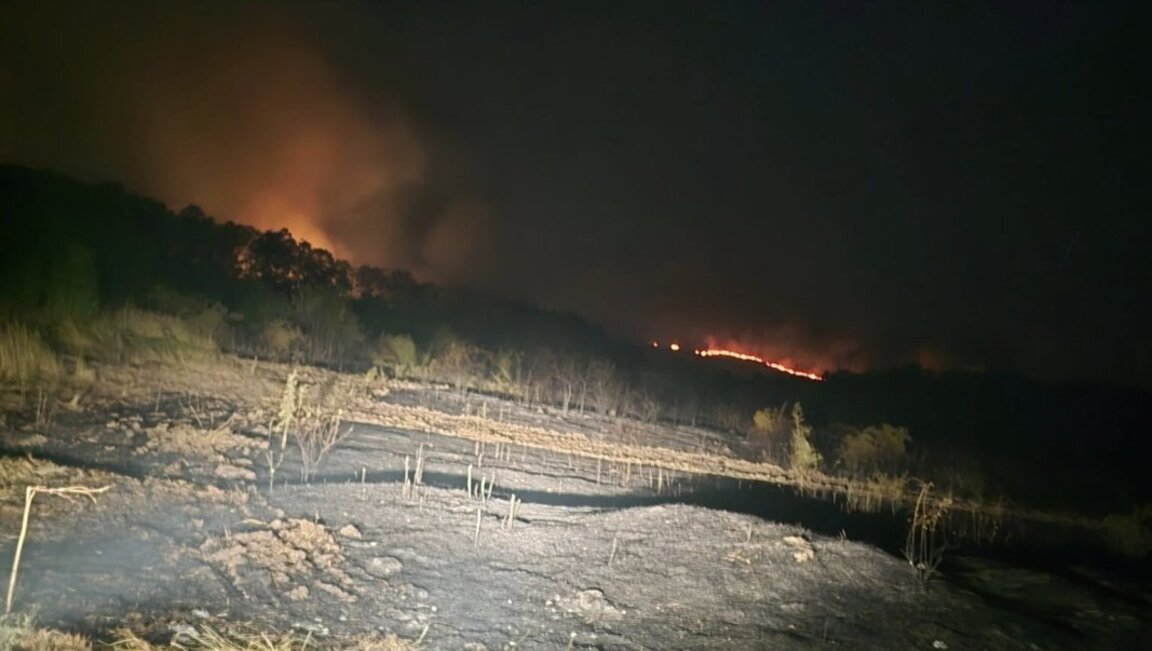 Още снощи е овладян пожарът край село Каленик