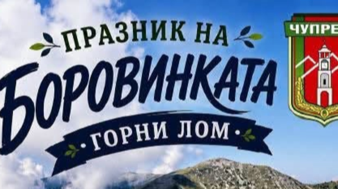Празникът на боровинката събира гости в Горни Лом