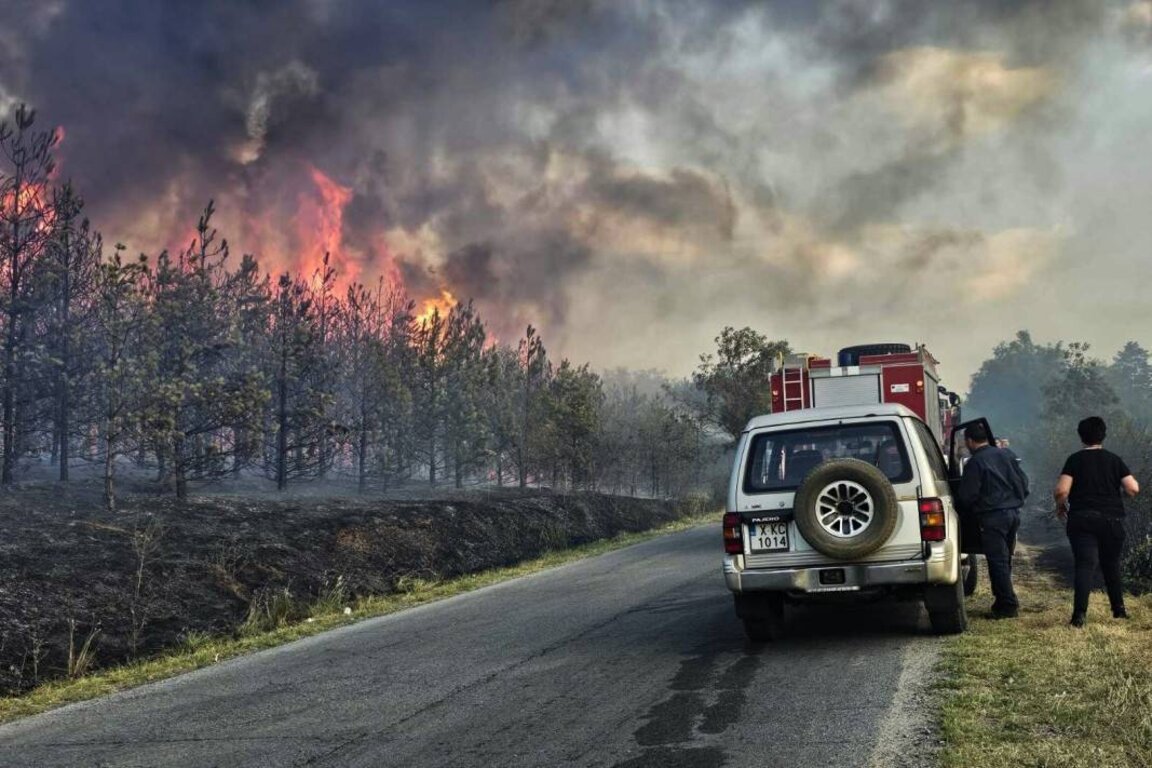 Пожар край Харманли
