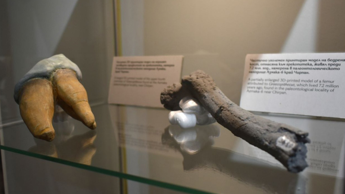 Открытие в Болгарии: предки человека ходили на двух ногах еще 7,2 млн лет назад