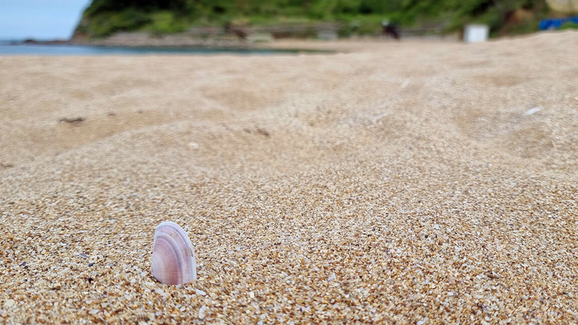 Wetteraussichten für Donnerstag, den 10. Juli