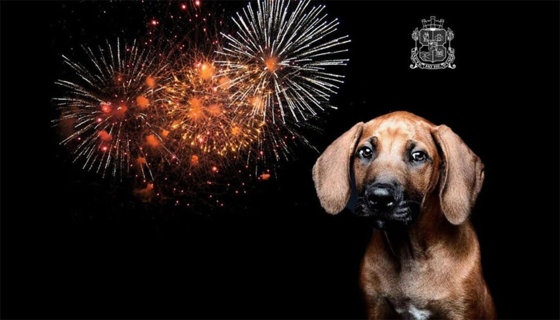 Sofia va sărbători Anul Nou cu un spectacol de lumini în loc de focuri de artificii