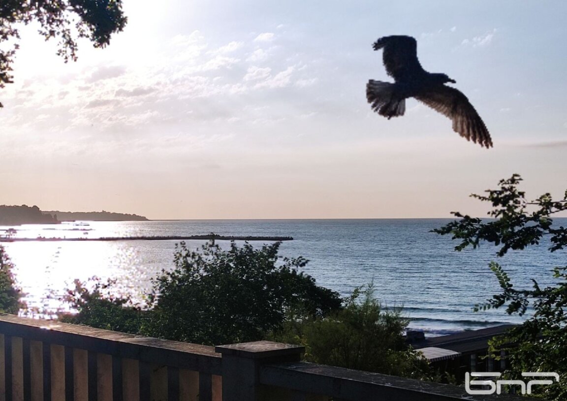 Интригата във Варна: Какъв резултат ще постигнат двете крила, свързани с ДПС