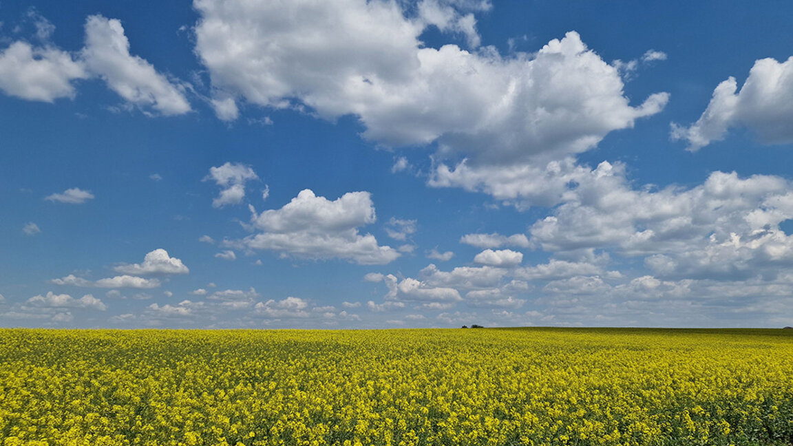 Wetteraussichten für Mittwoch, den 18. Juni