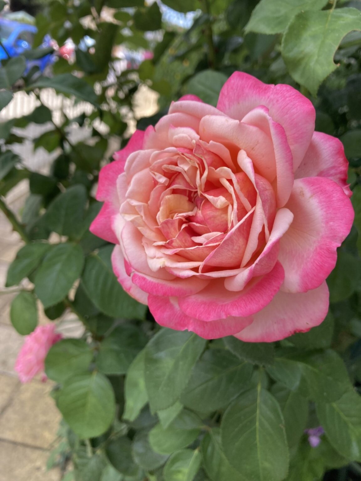 Wetteraussichten für Freitag, den 6. September