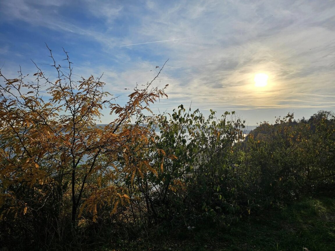 Зимно слънце