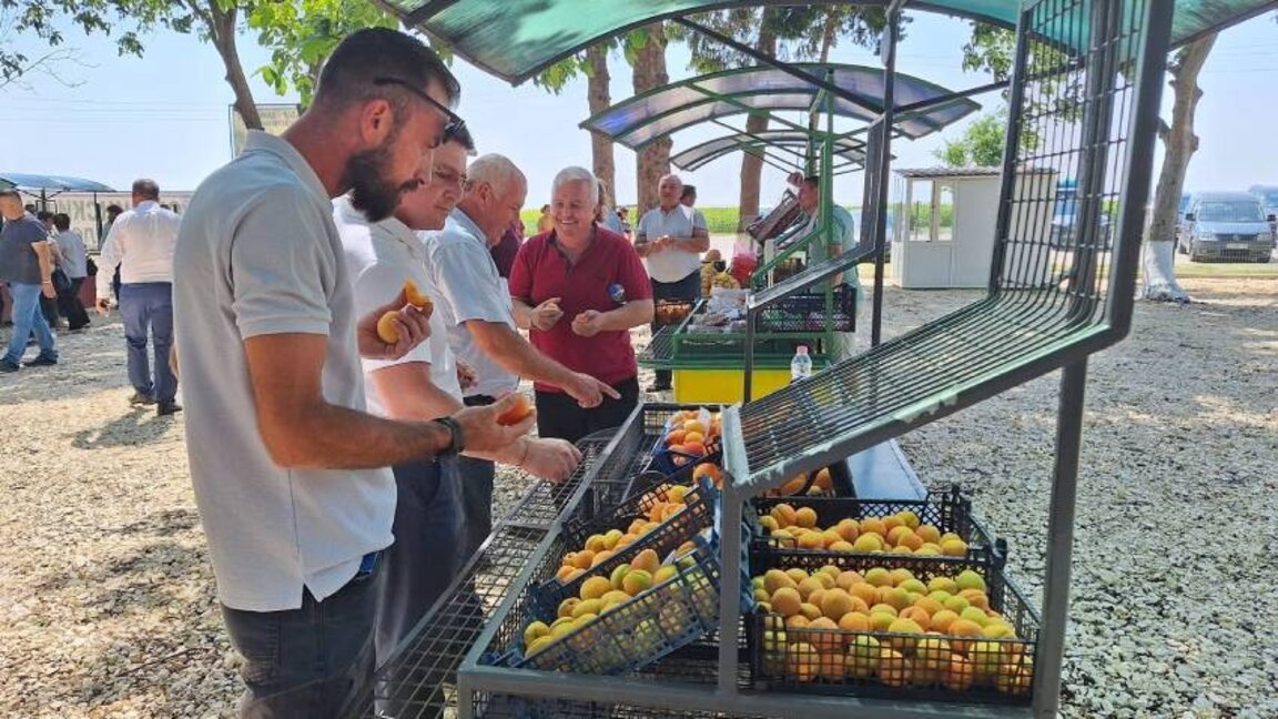 Silistra’nın Zafirovo köyünde meyve ve sebze pazarı kuruldu