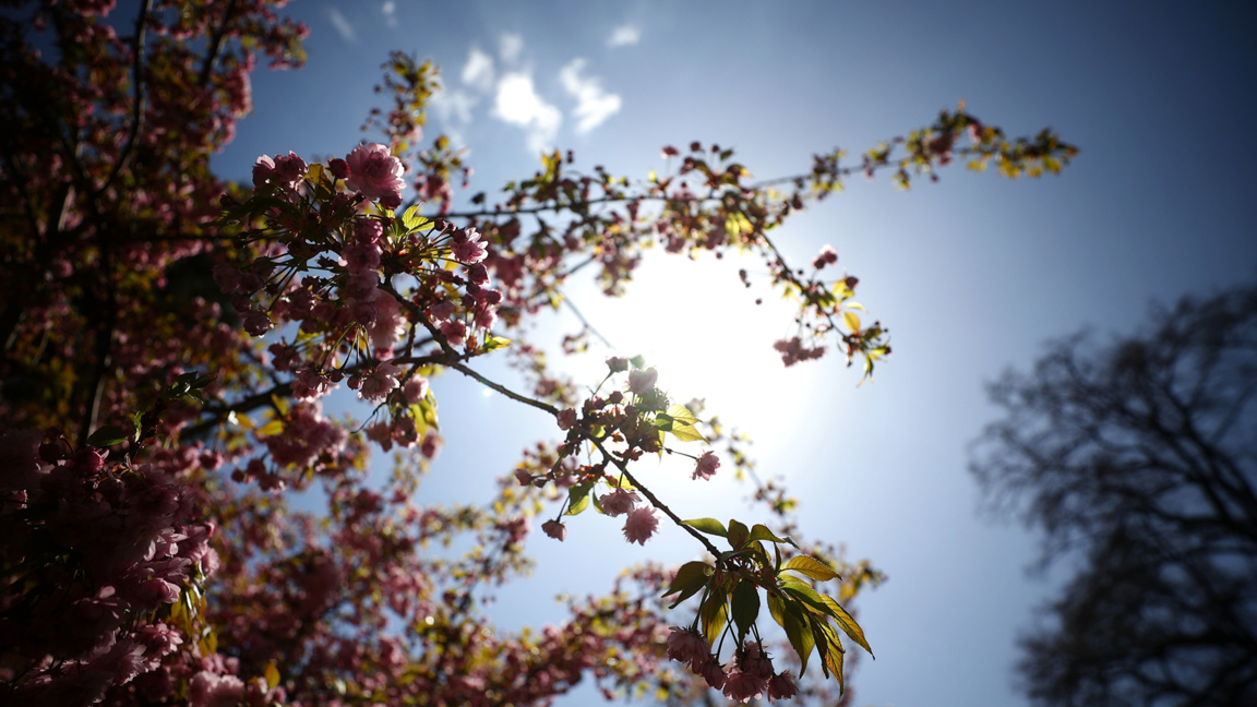 Wetteraussichten für Dienstag, den 19. Mai