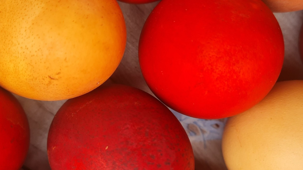 В Горна Бела речка багрят яйца с билки-оцветилки