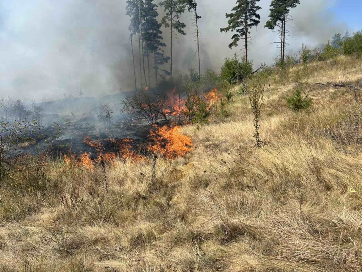 Пожар край самоковското село Алино