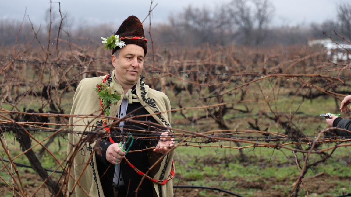 Los viticultores celebran san Tifón el Podador con esperanzas 