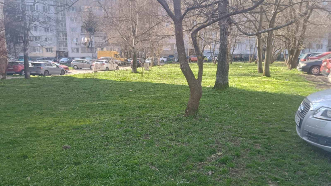 Започна косенето на тревните площи в рай...