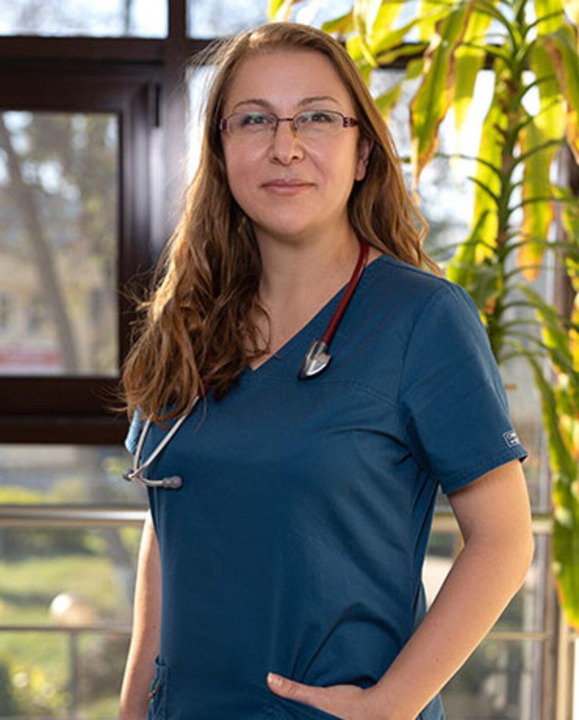 Dr. Asja Konsullova