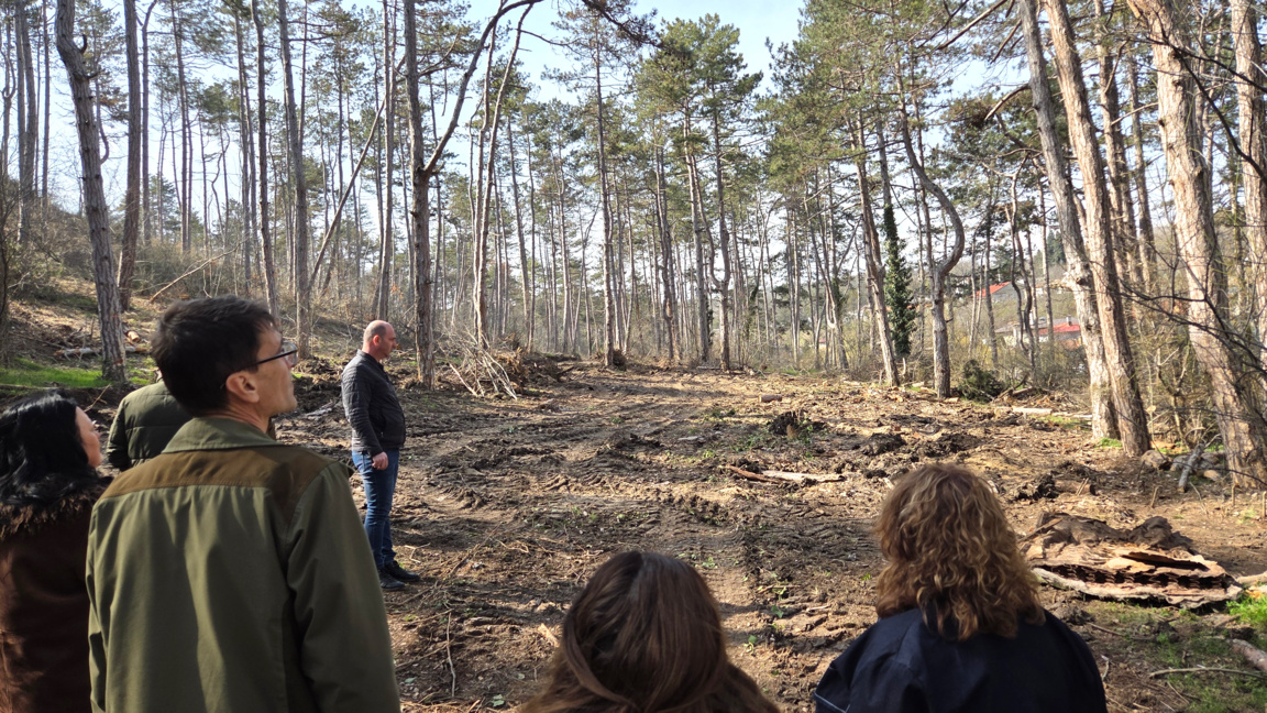 Жители на кв. "Аспарухово" инициираха официална проверка заради сеч в гора