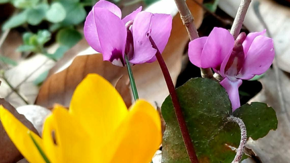 В петък с ,,Оттука започва денят"