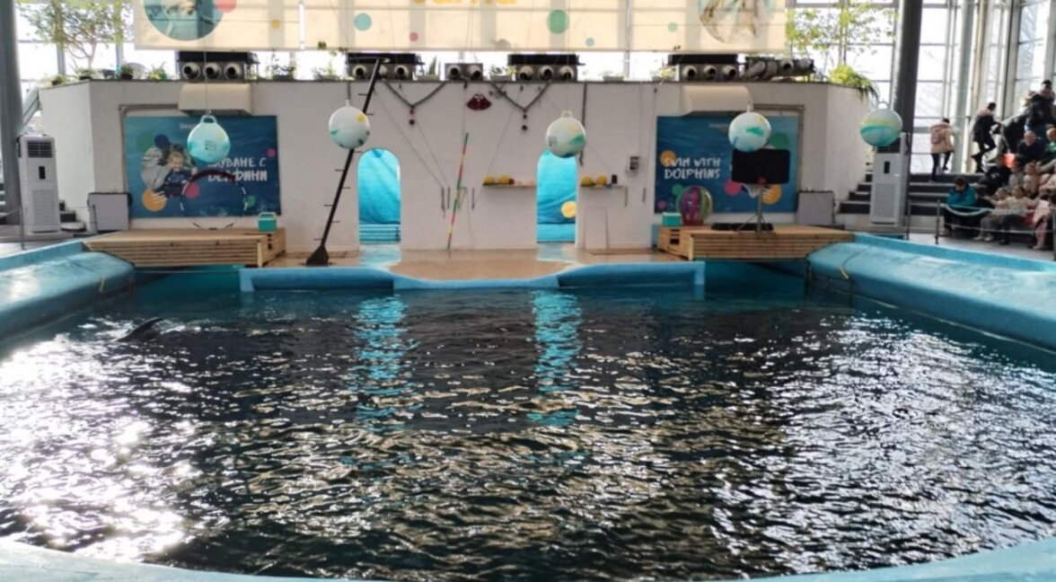 Делфинариумът във Варна с безплатни великденски спектакли за децата до 12 години