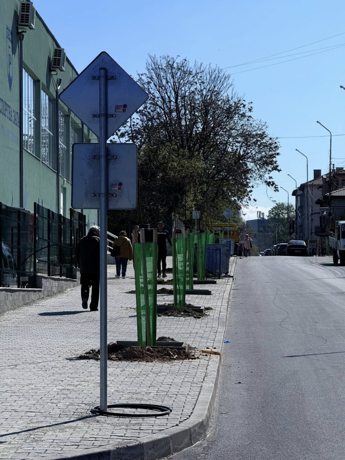 Нови дръвчета по тротоарите на две улици в Петрич