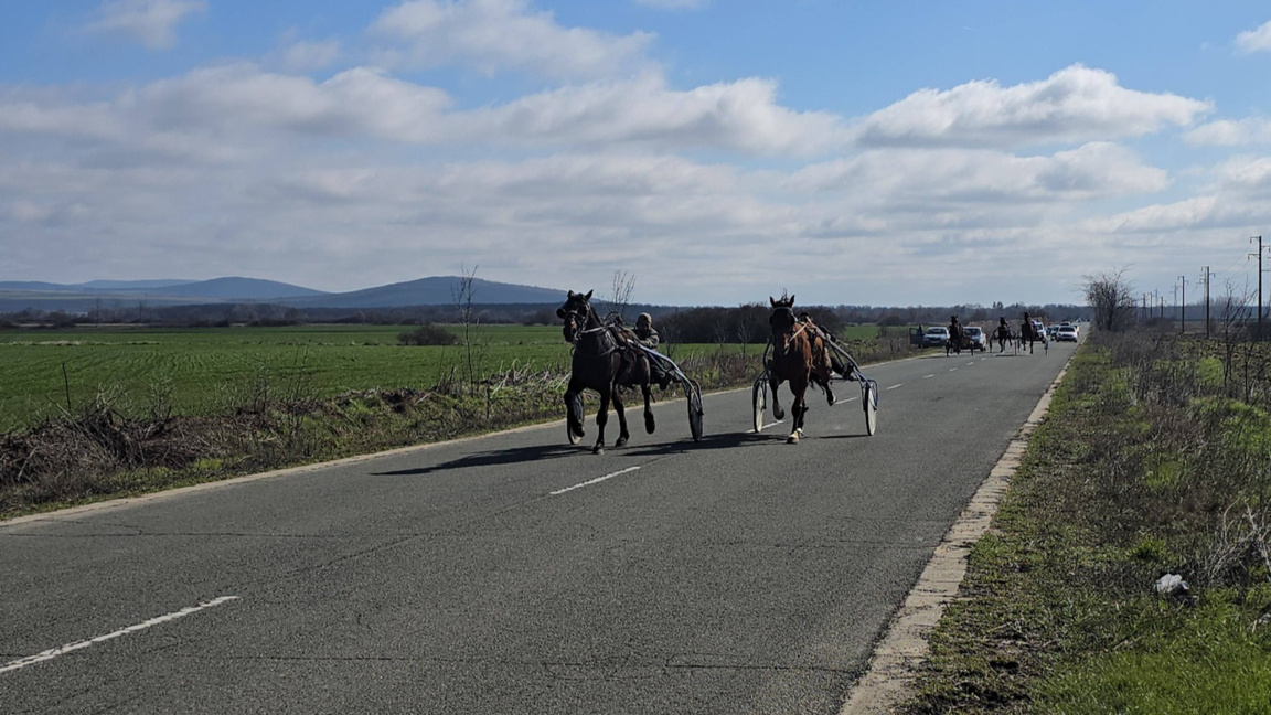 Конете Цар и Техникум спечелиха  кушиите в Сунгурларе
