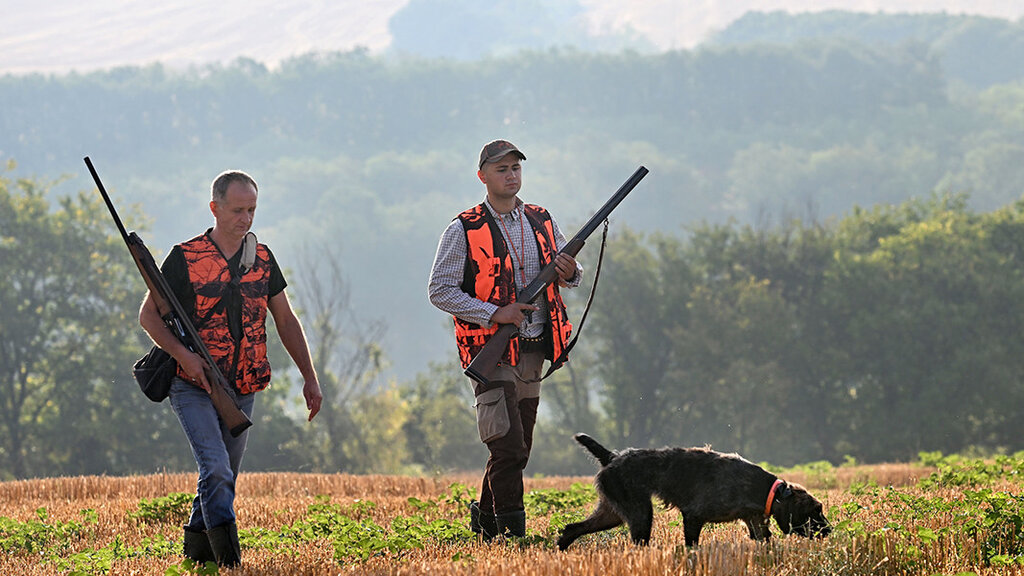 Ловният сезон започва с призив за опазване на горите и повече бдителност