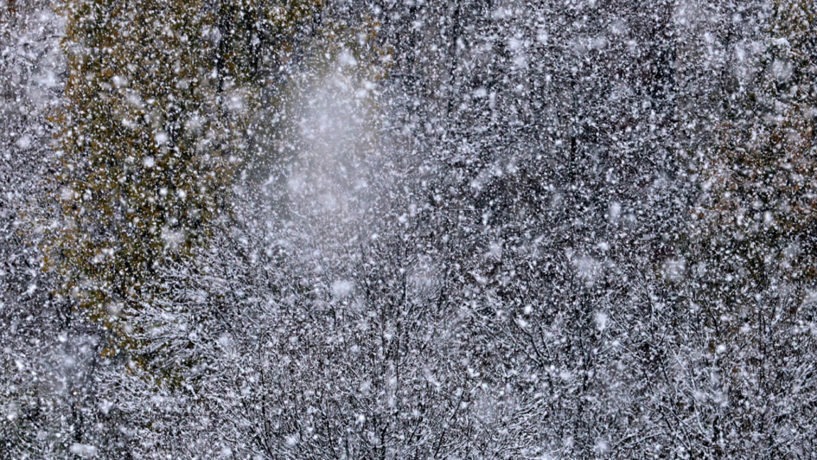 снеговалежи