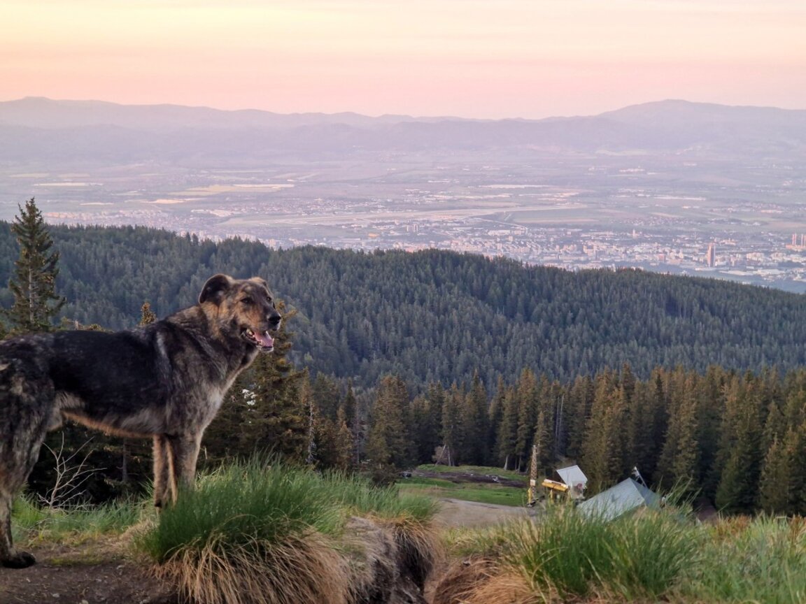 Astronomical summer comes with slight decrease in temperatures