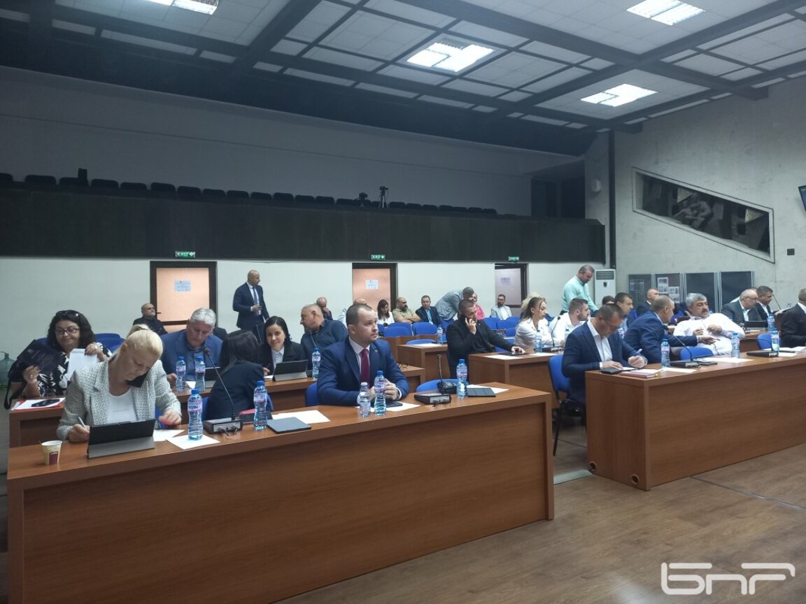 Съветниците решиха: Три часа безплатно паркиране за инвалидите и електромобилите в Благоевград