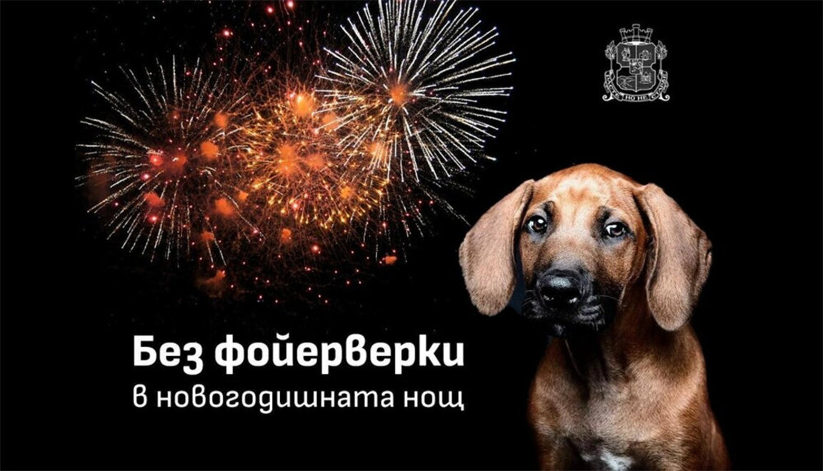 В центре Софии встретят Новый год не фейерверками, а световым шоу